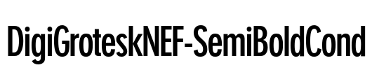 DigiGroteskNEF-SemiBoldCond Font Image