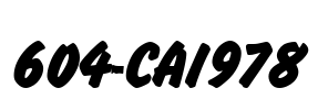 604-CAI978