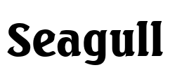 Seagull Font Image