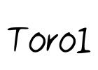 Toro1