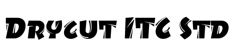 Drycut ITC Std Font Image
