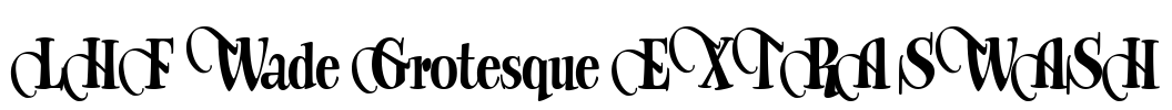 LHF Wade Grotesque EXTRA SWASH Font Image
