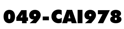 049-CAI978 Font Image