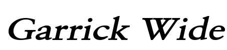Garrick Wide
