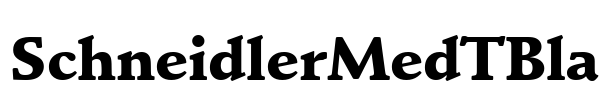 SchneidlerMedTBla Font Image
