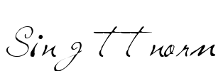 Sing ttnorm Font Image