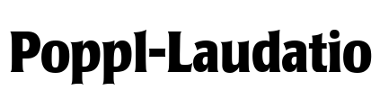 Poppl-Laudatio