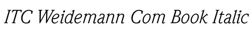 ITC Weidemann Com Book Italic Font Image