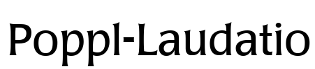 Poppl-Laudatio