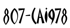 807-CAI978