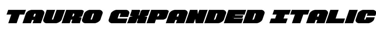 Tauro Expanded Italic Font Image