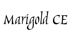 Marigold CE Font Image