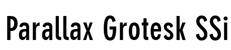 Parallax Grotesk SSi Font Image