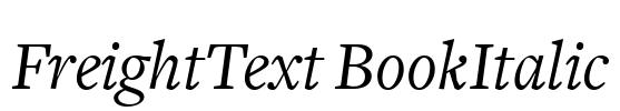 FreightText BookItalic