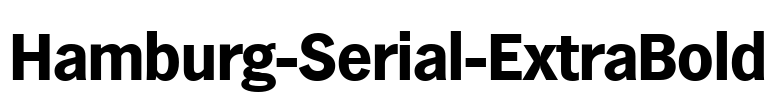 Hamburg-Serial-ExtraBold Font Image