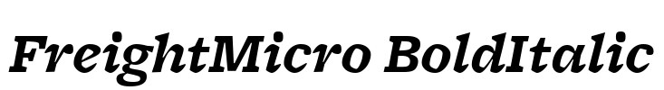 FreightMicro BoldItalic