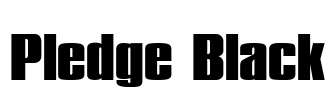 Pledge Black