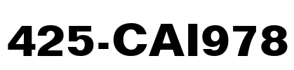 425-CAI978