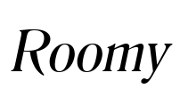 Roomy Font Image