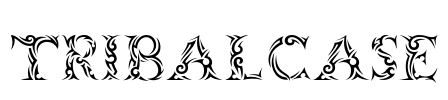 Tribalcase