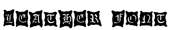 LEATHER FONT Font Image