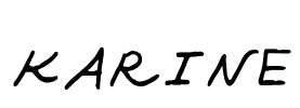 KARINE Font Image