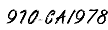 910-CAI978