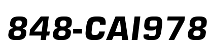 848-CAI978