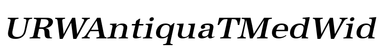 URWAntiquaTMedWid