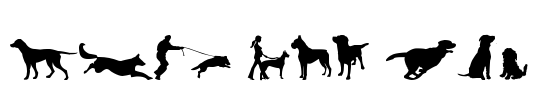 can dog tfb Font Image