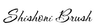 Shishoni Brush