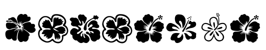 Hibiscus Font Image