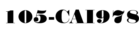 105-CAI978 Font Image