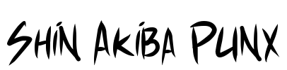 Shin Akiba Punx Font Image