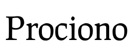 Prociono Font Image