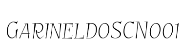 GarineldoSCNo01