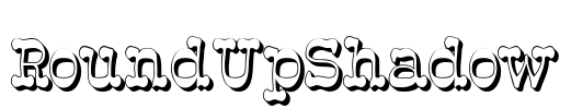 RoundUpShadow Font Image