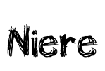 Niere