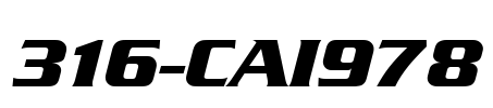 316-CAI978