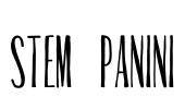 Stem Panini Font Image