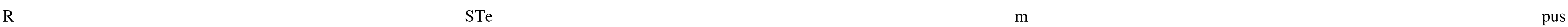 RSTempus Font Image