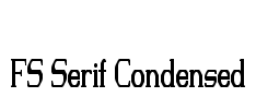 FS Serif Condensed Font Image