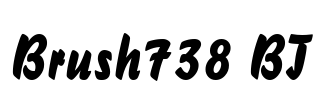 Brush738 BT