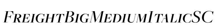 FreightBigMediumItalicSC