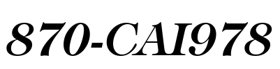 870-CAI978 Font Image