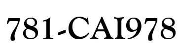 781-CAI978