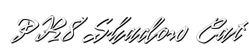 PR8 Shadow Cat Font Image