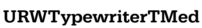 URWTypewriterTMed Font Image
