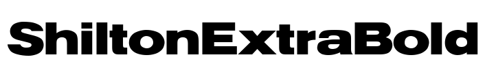 ShiltonExtraBold Font Image