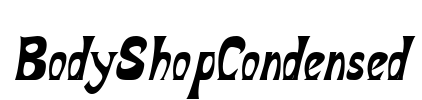 BodyShopCondensed